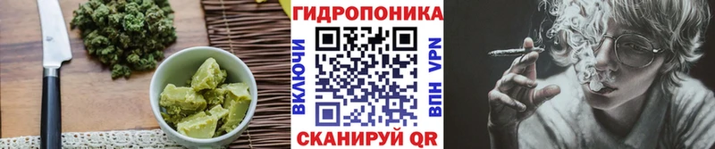 Cannafood конопля  Купить где  Балтийск 